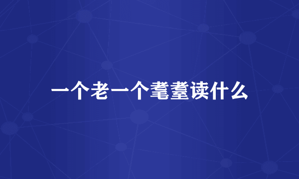 一个老一个耄耋读什么