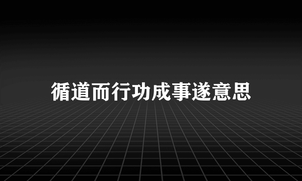循道而行功成事遂意思