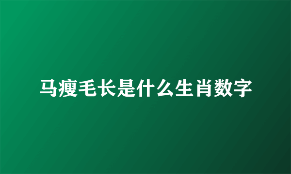 马瘦毛长是什么生肖数字