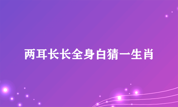 两耳长长全身白猜一生肖