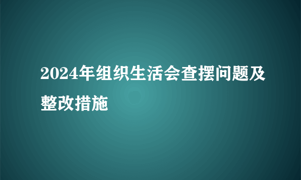 2024年组织生活会查摆问题及整改措施