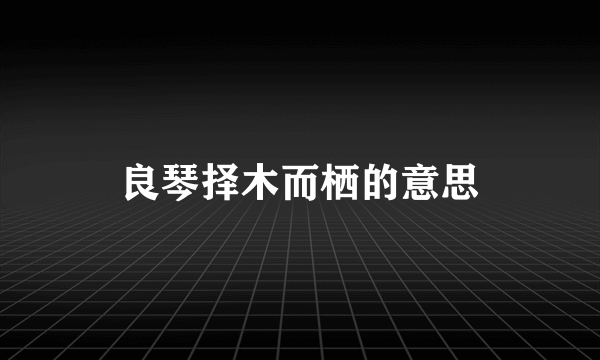 良琴择木而栖的意思