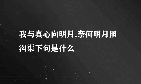 我与真心向明月,奈何明月照沟渠下句是什么