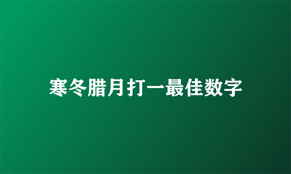 寒冬腊月打一最佳数字