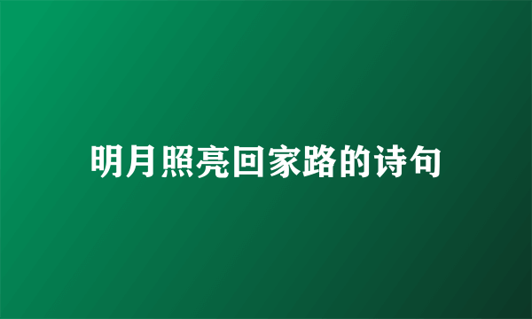 明月照亮回家路的诗句