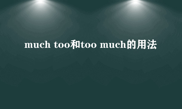 much too和too much的用法