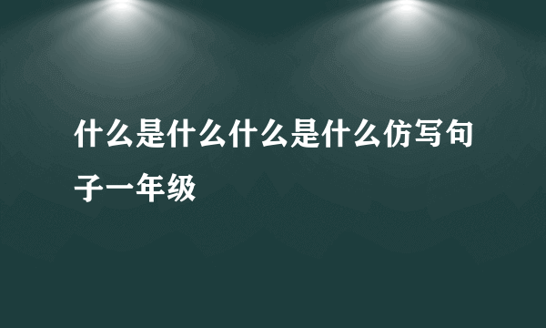 什么是什么什么是什么仿写句子一年级