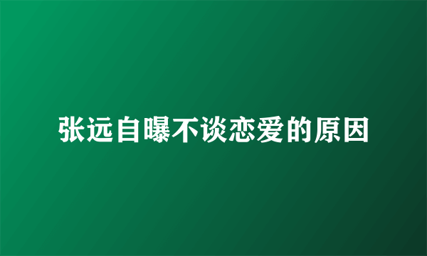 张远自曝不谈恋爱的原因
