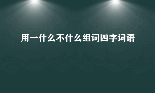 用一什么不什么组词四字词语