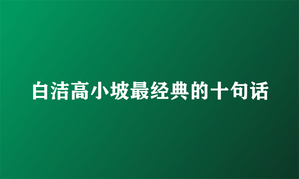 白洁高小坡最经典的十句话