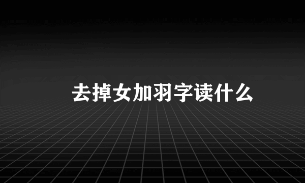 嬛去掉女加羽字读什么
