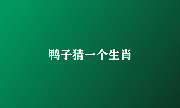 鸭子猜一个生肖