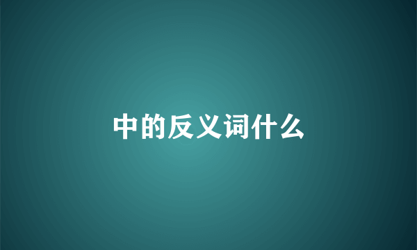 中的反义词什么