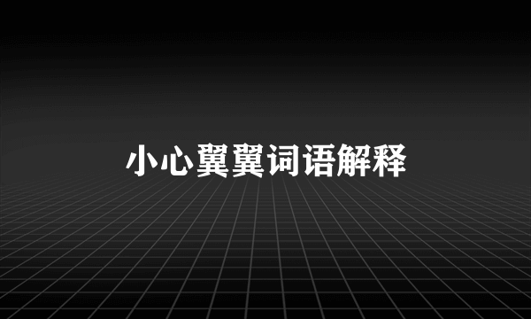 小心翼翼词语解释