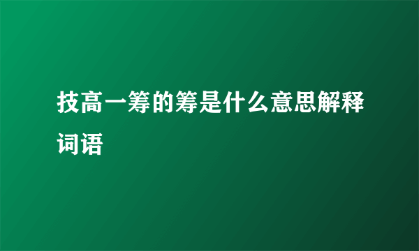 技高一筹的筹是什么意思解释词语