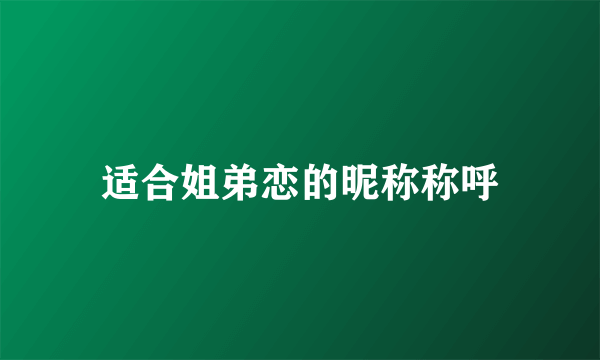 适合姐弟恋的昵称称呼