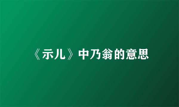 《示儿》中乃翁的意思
