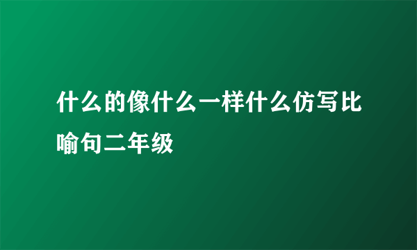 什么的像什么一样什么仿写比喻句二年级