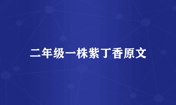 二年级一株紫丁香原文
