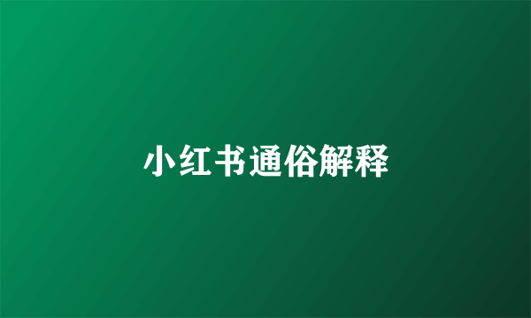 小红书通俗解释