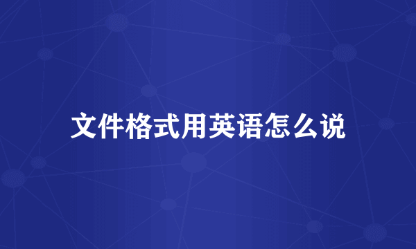 文件格式用英语怎么说