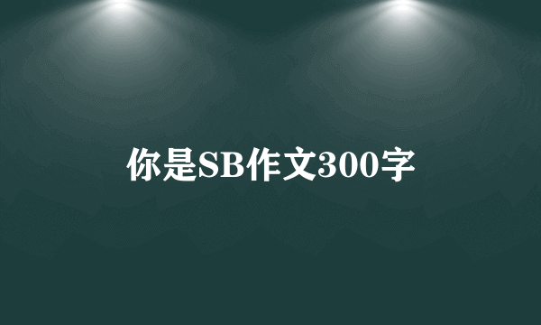 你是SB作文300字