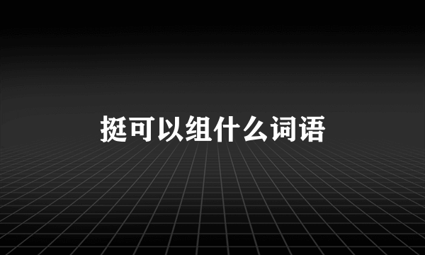 挺可以组什么词语