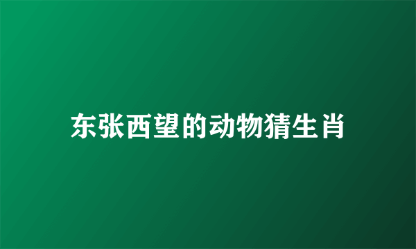 东张西望的动物猜生肖