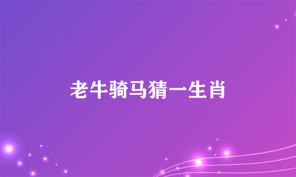 老牛骑马猜一生肖