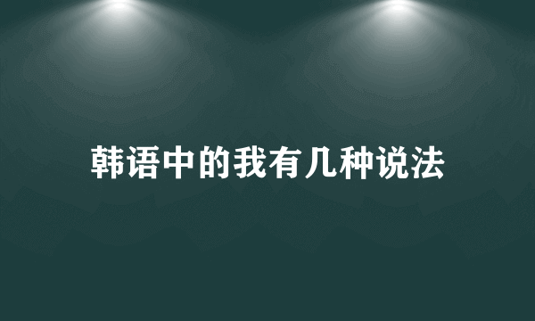 韩语中的我有几种说法