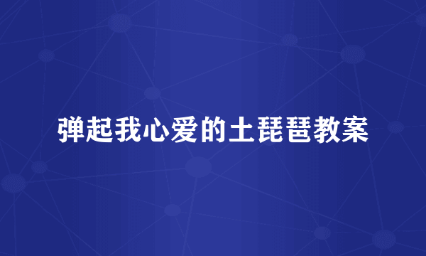 弹起我心爱的土琵琶教案