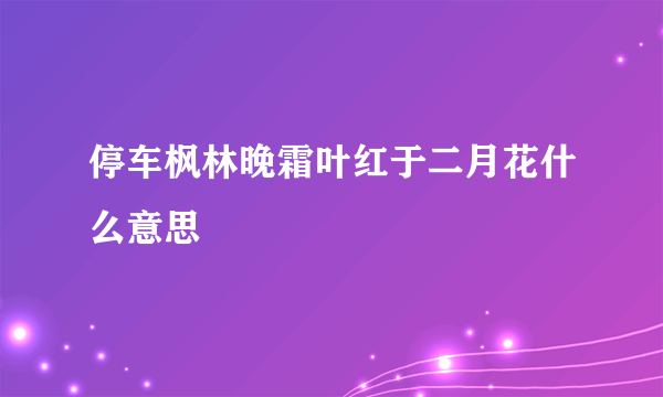 停车枫林晚霜叶红于二月花什么意思