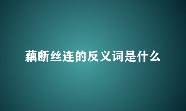 藕断丝连的反义词是什么