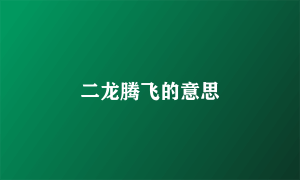 二龙腾飞的意思