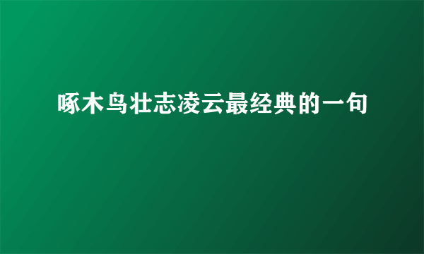 啄木鸟壮志凌云最经典的一句