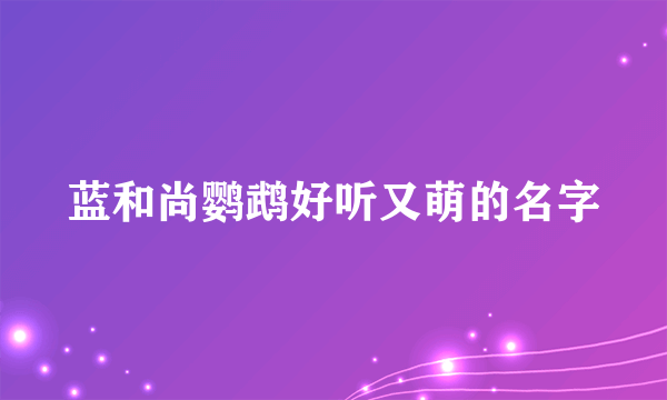 蓝和尚鹦鹉好听又萌的名字