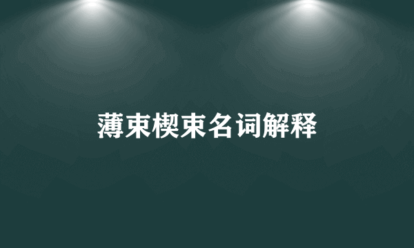 薄束楔束名词解释