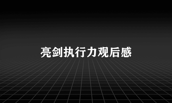 亮剑执行力观后感