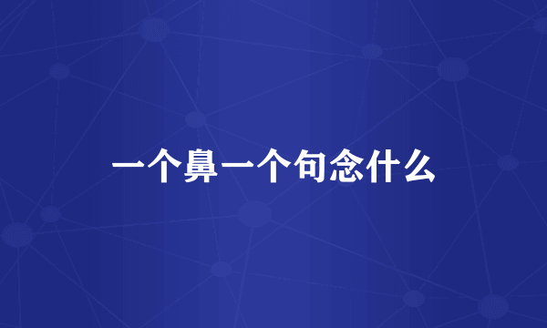 一个鼻一个句念什么
