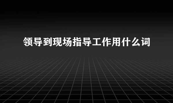 领导到现场指导工作用什么词