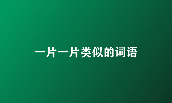 一片一片类似的词语