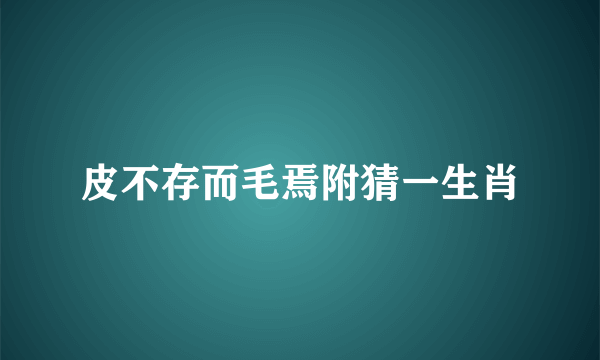 皮不存而毛焉附猜一生肖