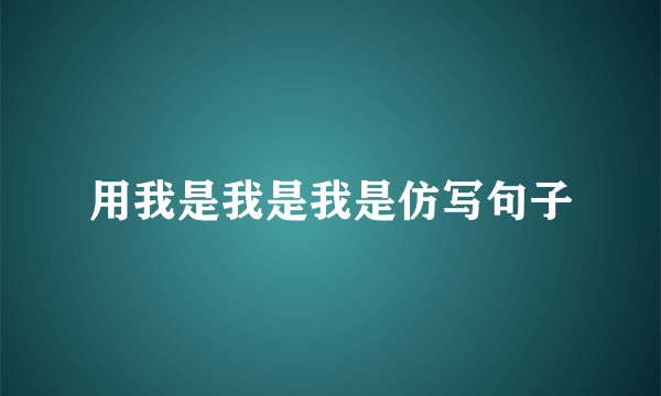 用我是我是我是仿写句子