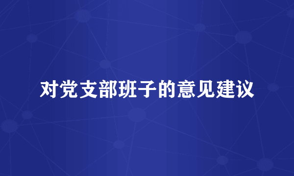 对党支部班子的意见建议