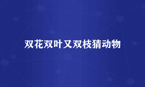 双花双叶又双枝猜动物
