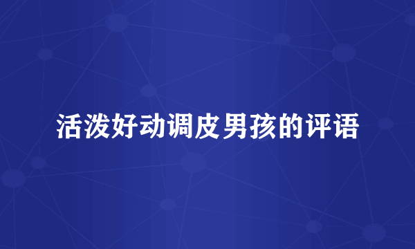 活泼好动调皮男孩的评语