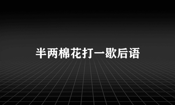 半两棉花打一歇后语
