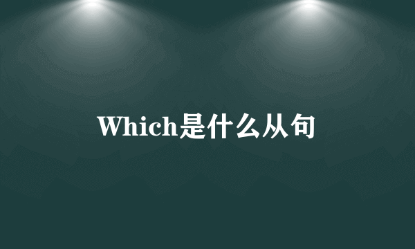 Which是什么从句