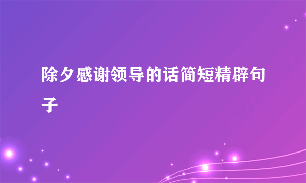除夕感谢领导的话简短精辟句子