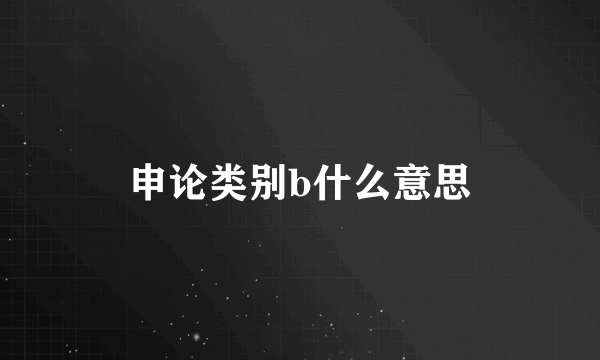 申论类别b什么意思